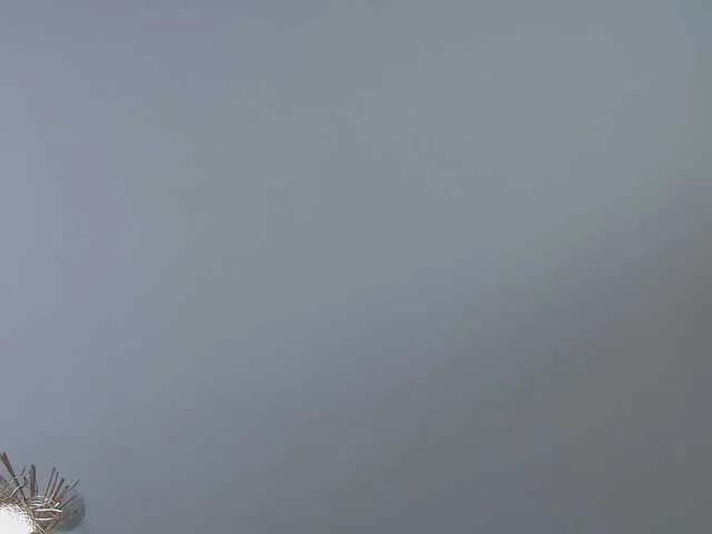 MisteryBlush — Kind men